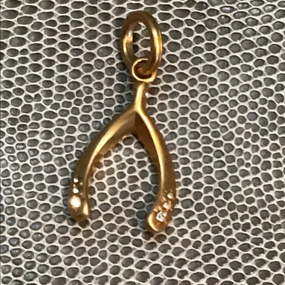 NWOT Brighton Wishbone Amulet Charm